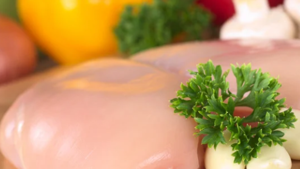 Petto di pollo